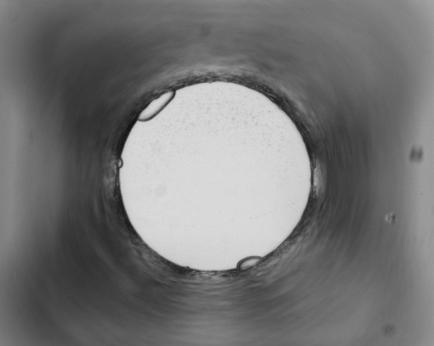 X0000102841492200809151051