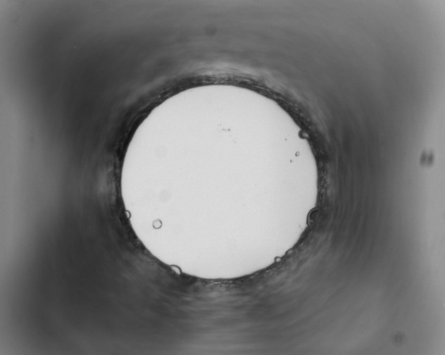 X0000102841493200809151051