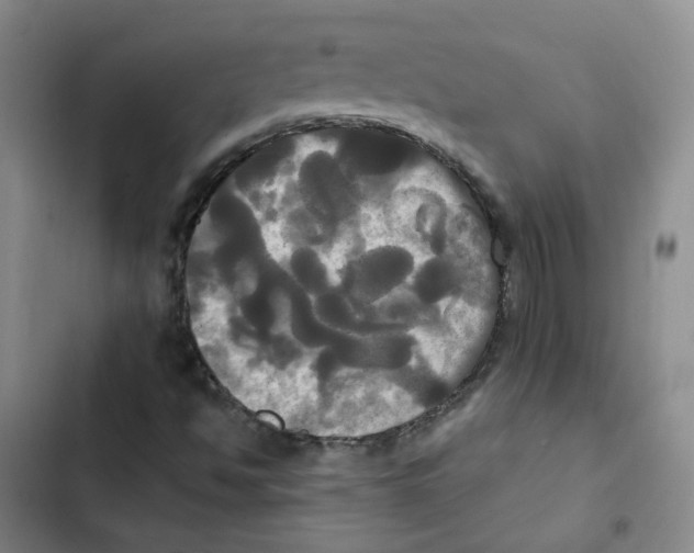 X0000102841494200809151051