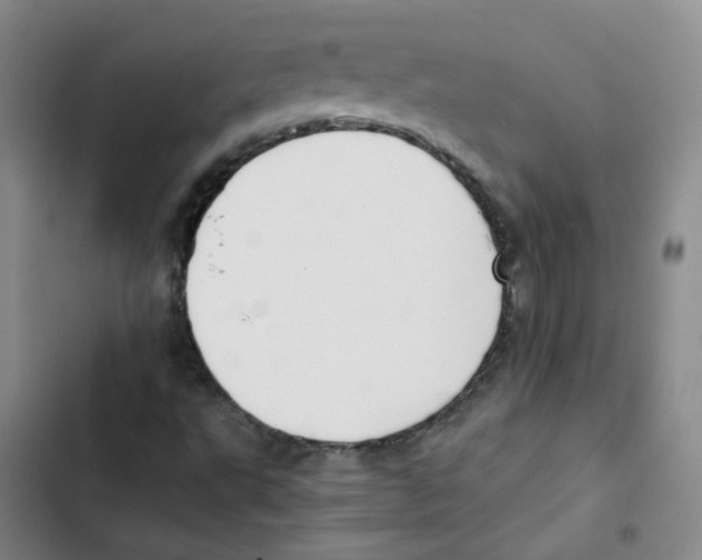 X0000102841495200809151051