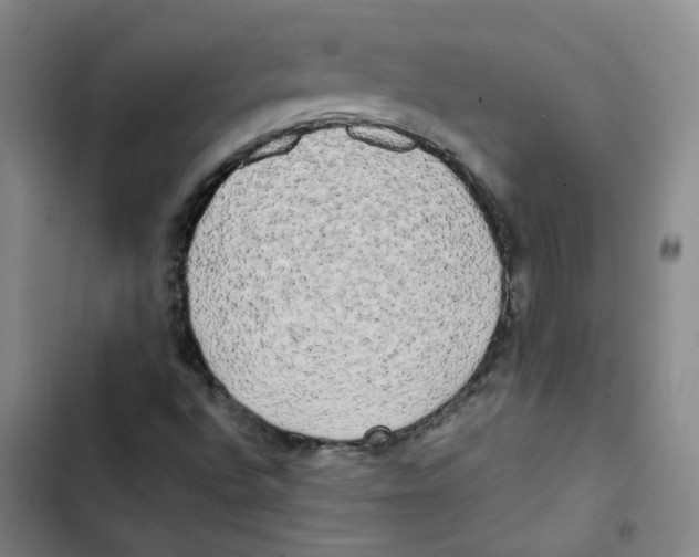 X0000102841496200809151051