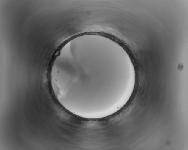 X0000102841497200809151051