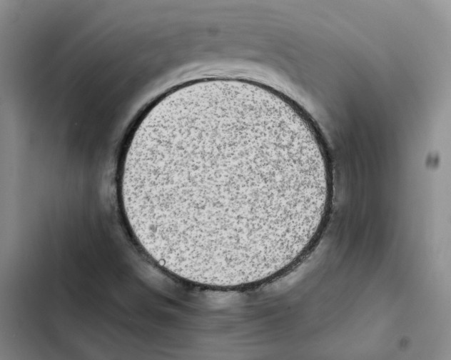 X0000102841498200809151051