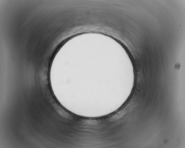 X0000102841499200809151051