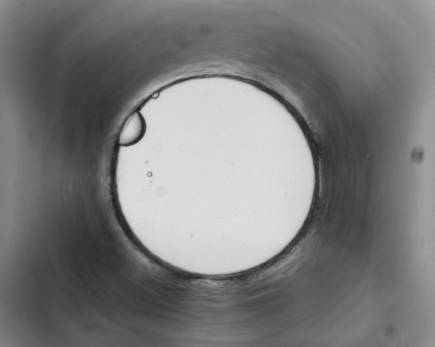 X0000102841500200809151051