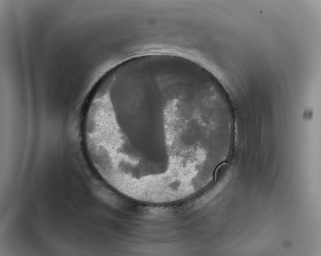 X0000102841501200809151051