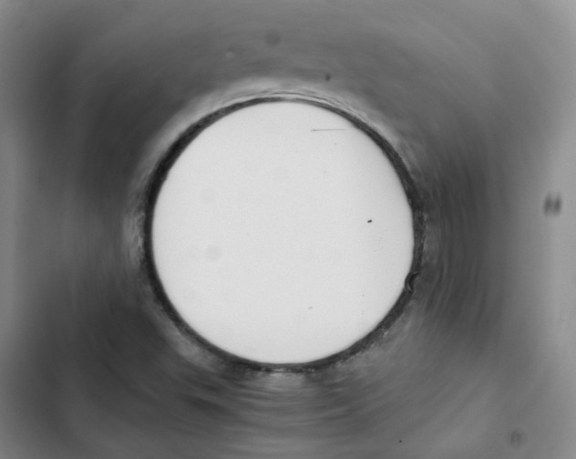 X0000102841503200809151051