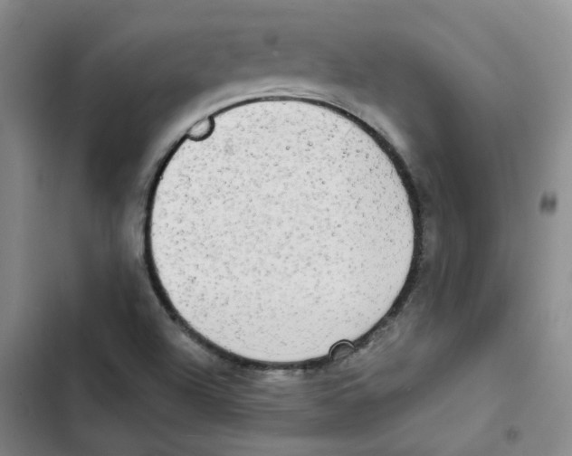 X0000102841504200809151051