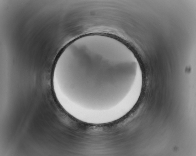 X0000102841505200809151051