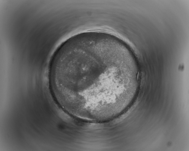 X0000102841506200809151051