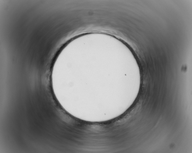 X0000102841507200809151051