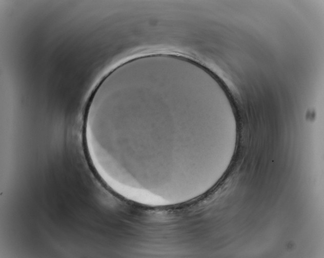 X0000102841508200809151051