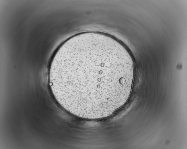 X0000102841509200809151051