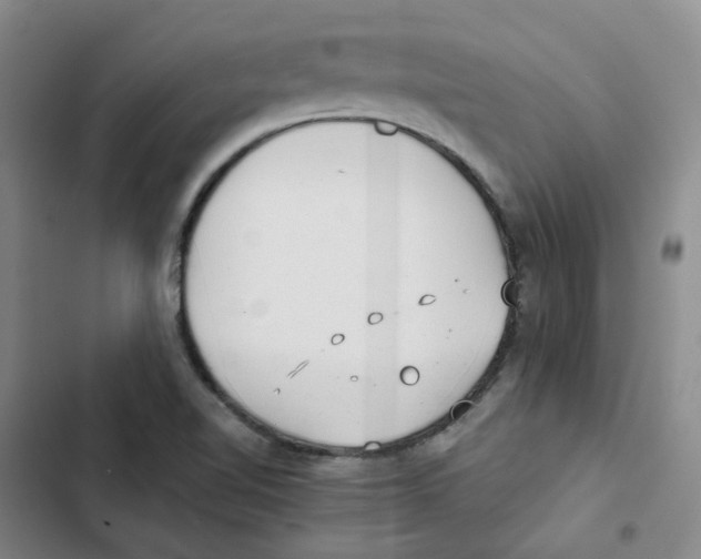 X0000102841510200809151051