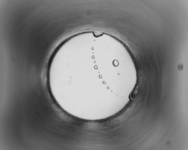 X0000102841511200809151051