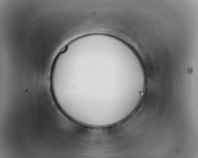 X0000102841512200809151051