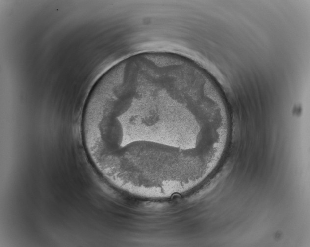 X0000102841513200809151051