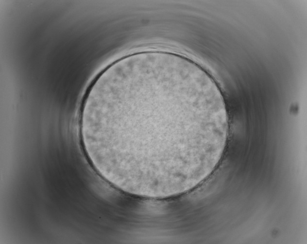 X0000102841514200809151051