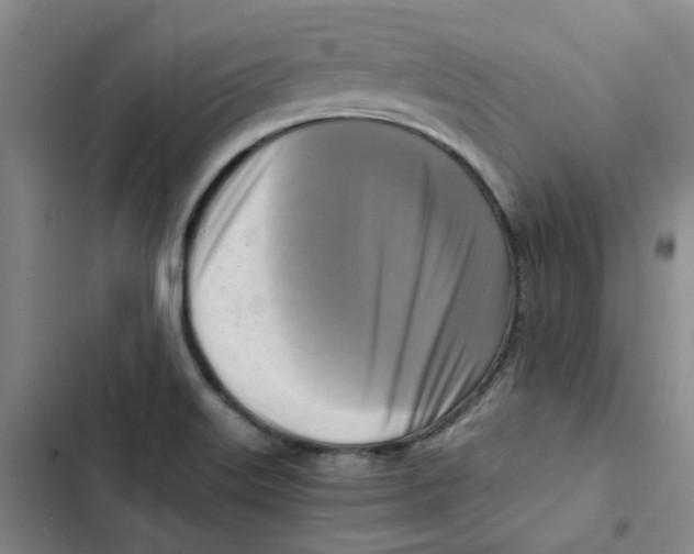 X0000102841515200809151051