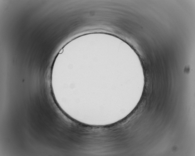 X0000102841516200809151051