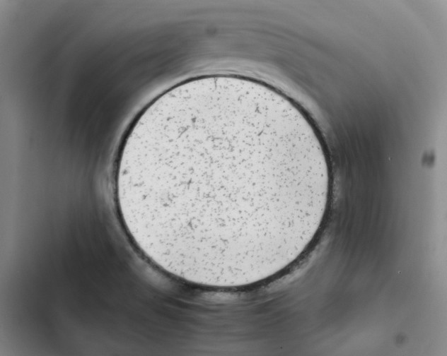 X0000102841517200809151051