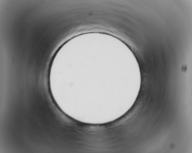 X0000102841518200809151051