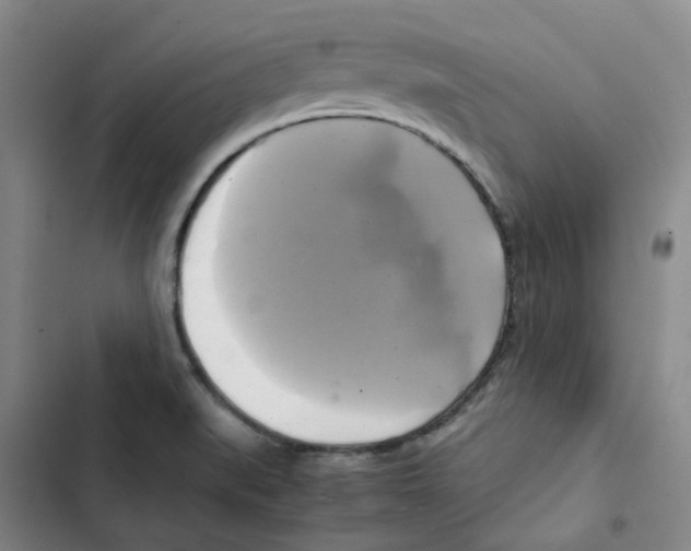 X0000102841519200809151051