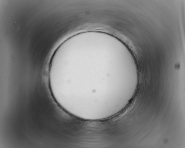 X0000102841520200809151051