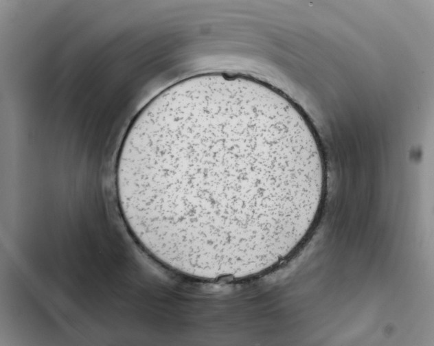 X0000102841521200809151051