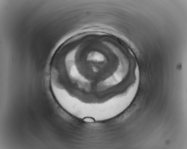 X0000102841522200809151051