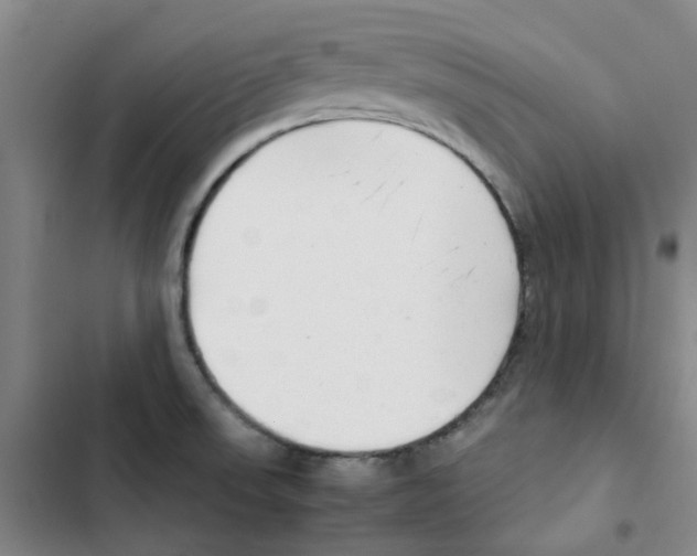 X0000102841523200809151051