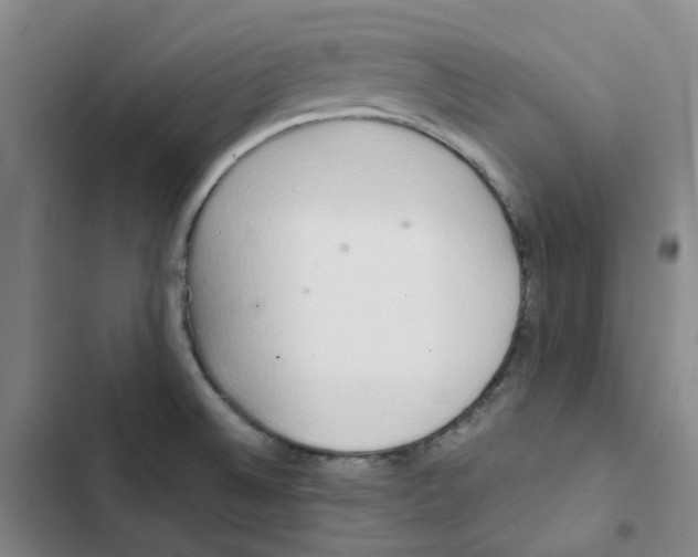 X0000102841524200809151051