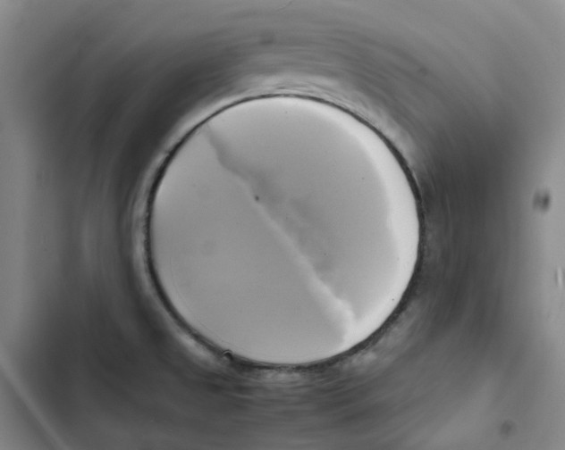 X0000102841525200809151051