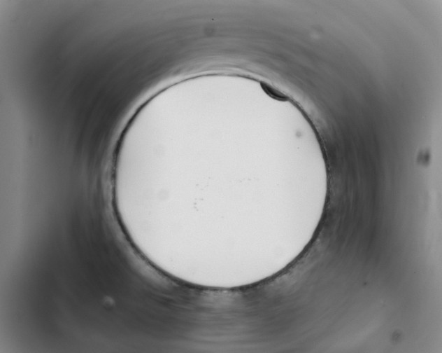 X0000102841526200809151051