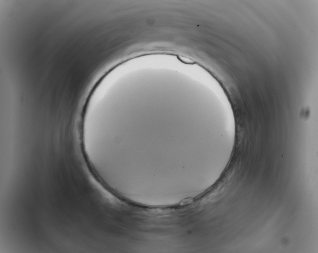 X0000102841527200809151051