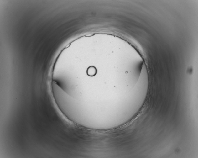 X0000102841528200809151052