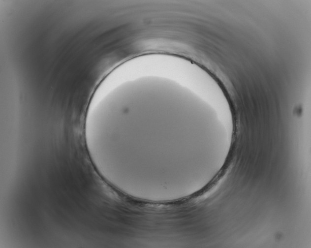 X0000102841529200809151052