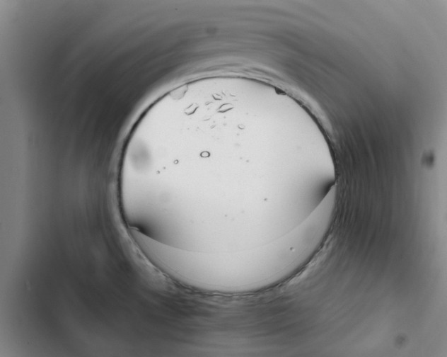 X0000102841530200809151052