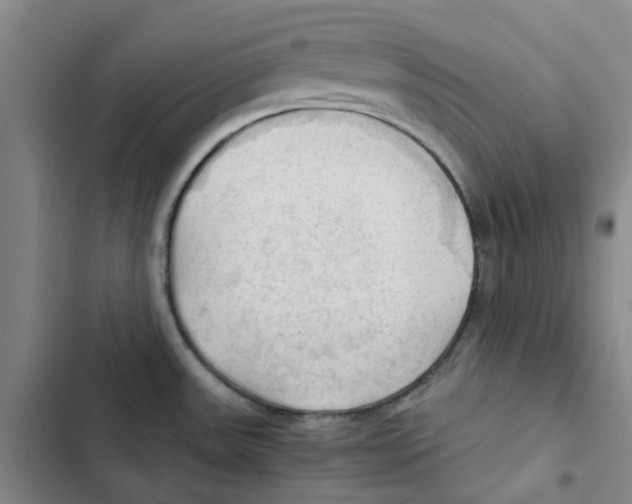 X0000102841531200809151052