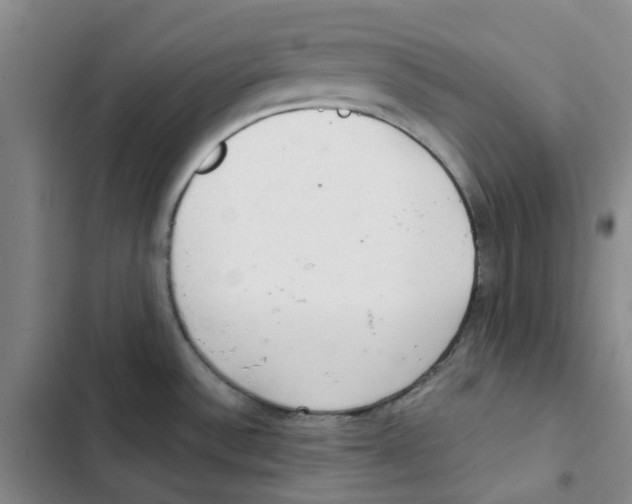 X0000102841532200809151052