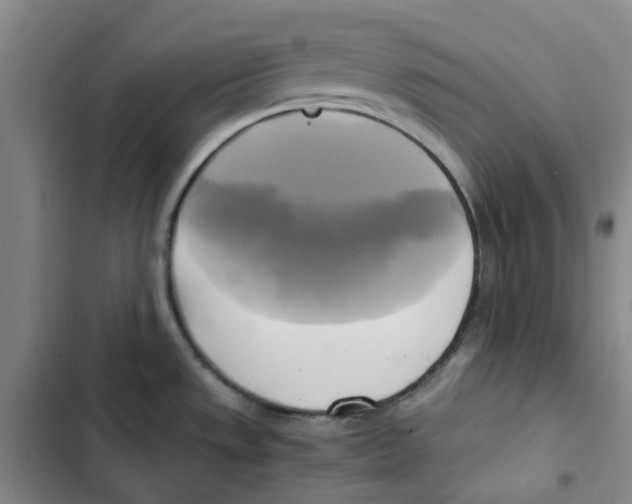 X0000102841533200809151052