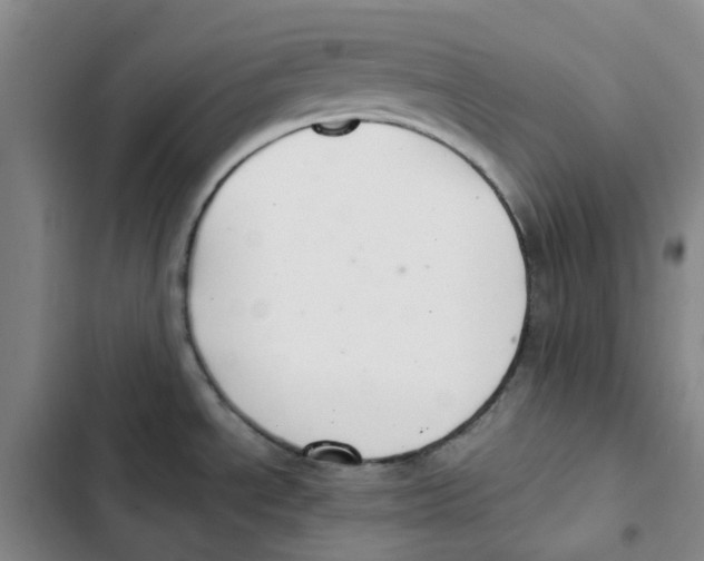 X0000102841534200809151052