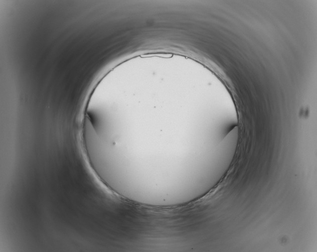 X0000102841536200809151052