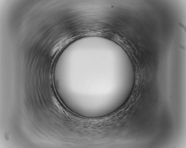 X0000102850002200808181057