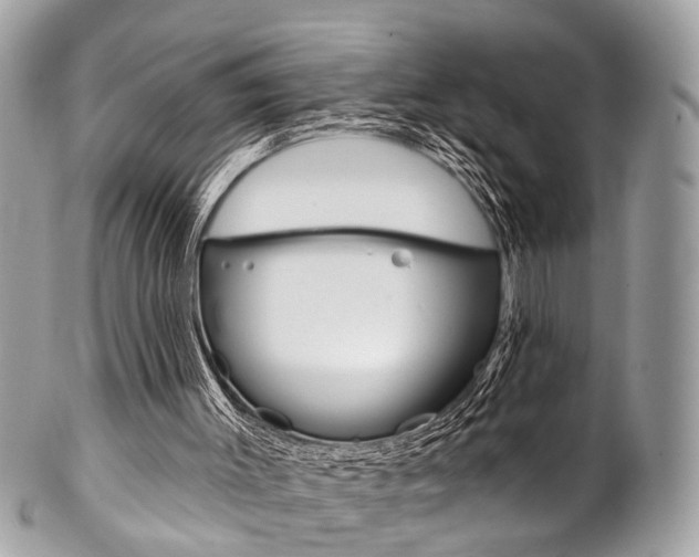 X0000102850003200808181057