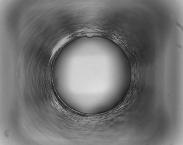 X0000102850004200808181057