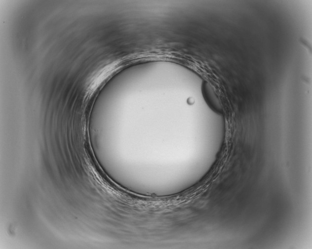 X0000102850005200808181057