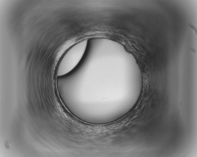 X0000102850006200808181057