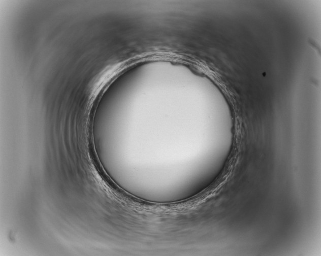 X0000102850007200808181057