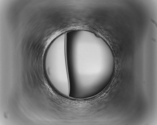X0000102850008200808181057